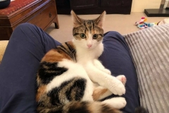 Daisy