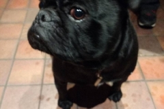 George