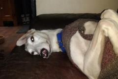 Murray Chilling