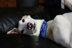 Murray Profile