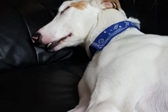 Sleeping