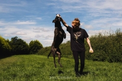 George-3