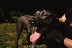George-8