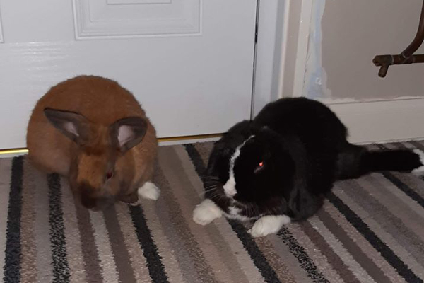 Marlon and Amber **Rehomed**
